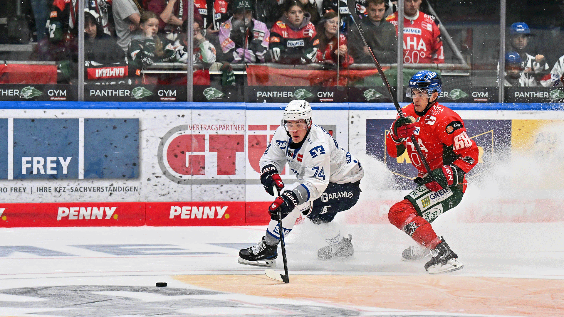Augsburger Panther gg. Adler Mannheim